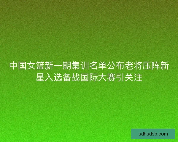 中国女篮新一期集训名单公布老将压阵新星入选备战国际大赛引关注